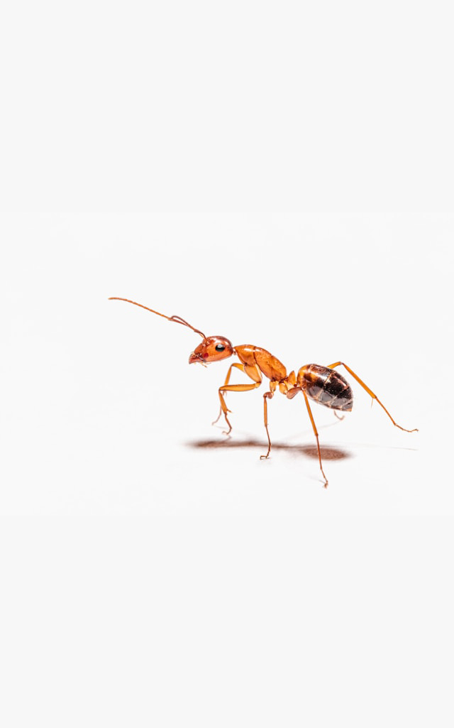 peter-f-wolf-XG8eYNYdz54-unsplash peter-f-wolf-XG8eYNYdz54-unsplash