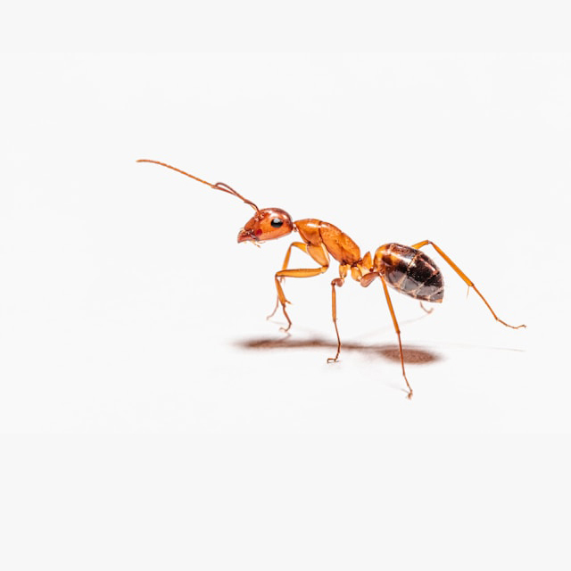 peter-f-wolf-XG8eYNYdz54-unsplash copy peter-f-wolf-XG8eYNYdz54-unsplash copy